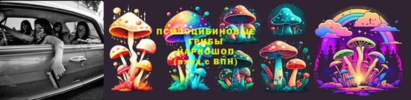 мет Абинск