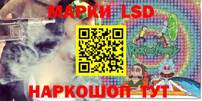 тгк Новозыбков