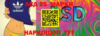 тгк Новозыбков
