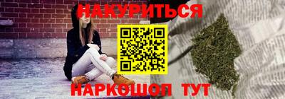 тгк Новозыбков