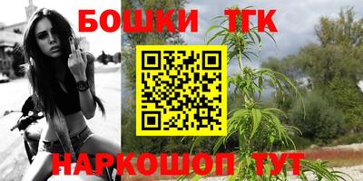 тгк Новозыбков