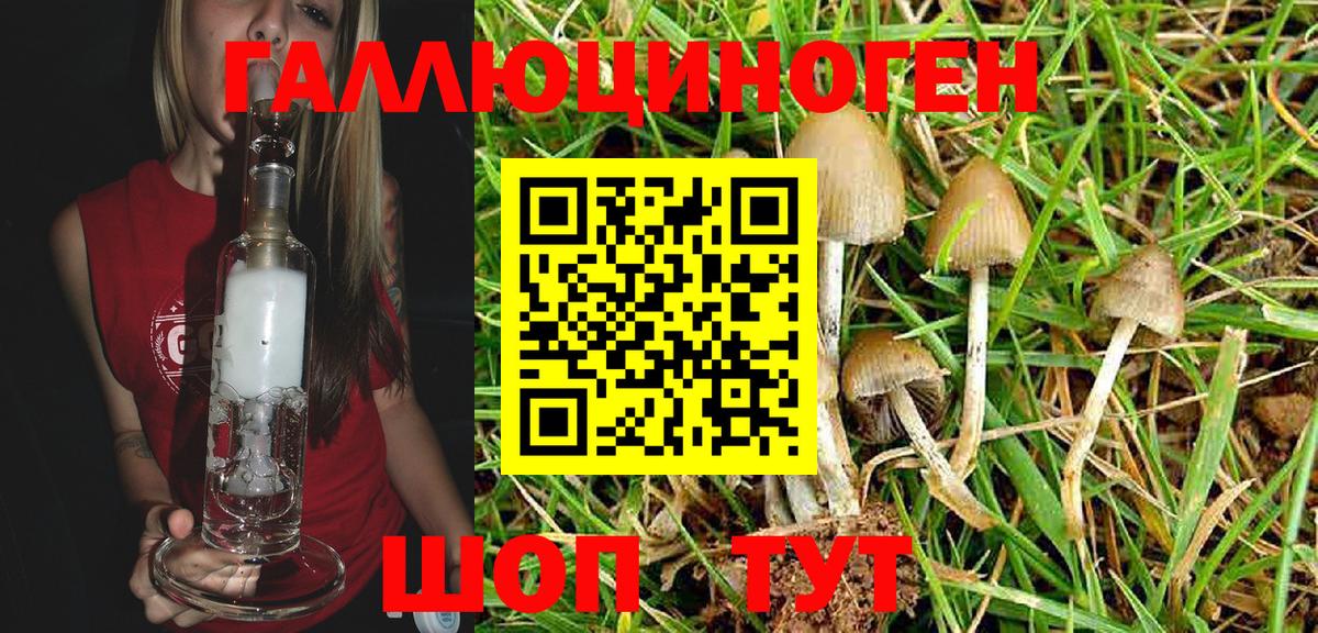 Псилоцибиновые грибы MAGIC MUSHROOMS  Вход с VPN  Псилоцибиновые грибы ЛСД  Якутск 