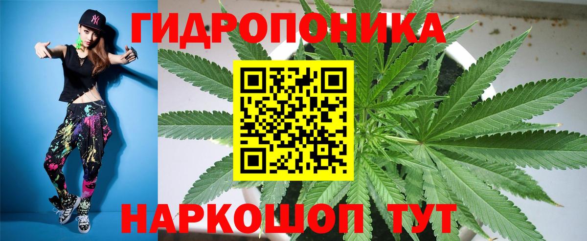 Шишки марихуана Ganja Якутск